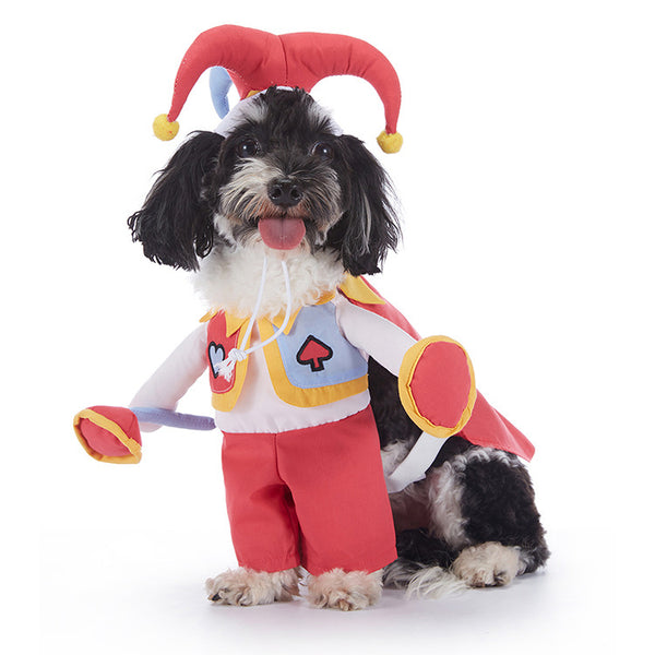 Standing funny dog clothing pet clothes